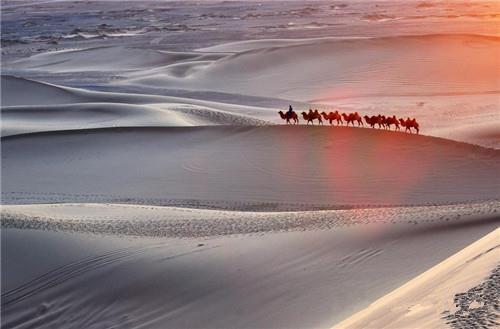 ˿񡢲Ҷ޻йóƷʷ״