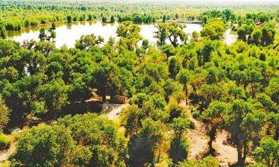 ȫ60%ĺйй90%ϵĺ½