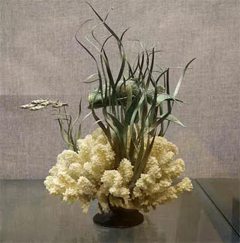 640.webp-(7).jpg