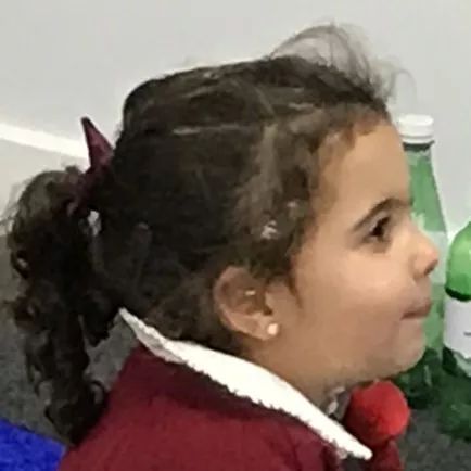 Ӣŷ׼Ӣ˫Сѧмҳ˵ѧСǰ;ϡ