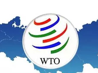 ������WTO�ύ���룬�����й��Զ�����г����õ�λ