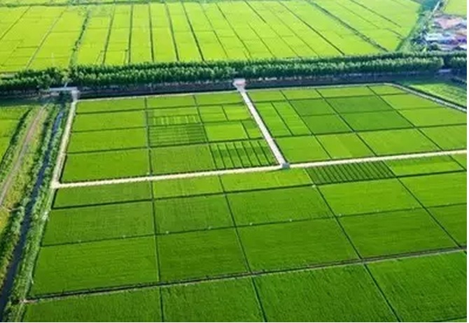  ũҵйظ˾ȫƿũҵĸ