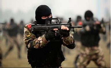 ���ֵ���ᷨѧ������������ᰲȫ�ۺ�����Ϊ�ӽ�